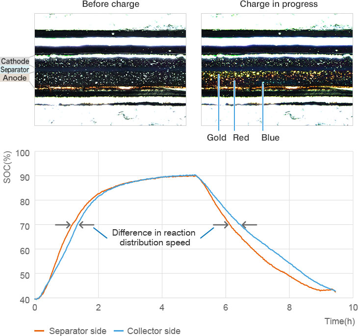 Analysis of electrochemical reaction distribution