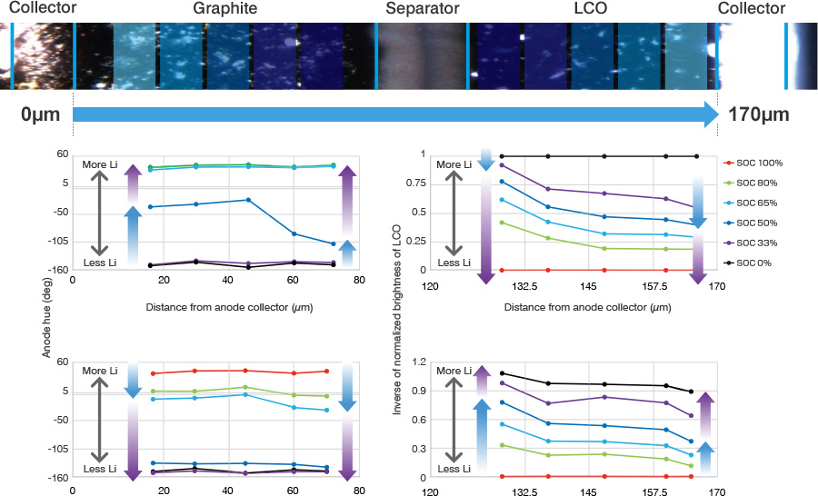 Simultaneous analysis of reaction distribution in both cathode and anode