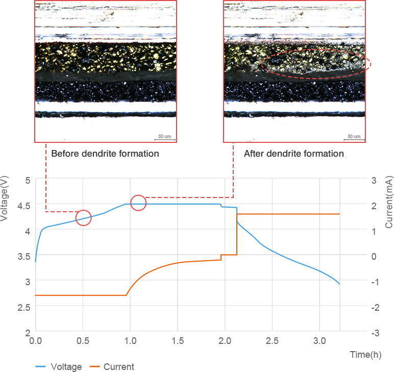 Observation of dendrite formation