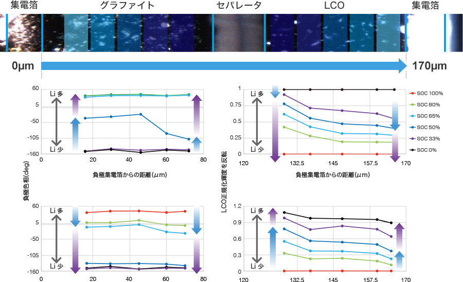 正負極　反応分布　同時解析