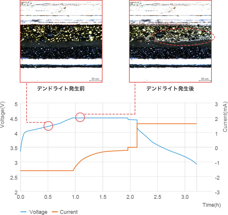 デンドライト観察