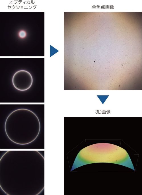 オプティカルセクショニング　全焦点画像　3D画像